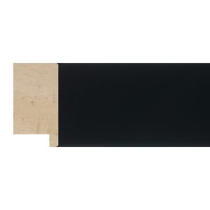 40x20mm Black Flat Moulding