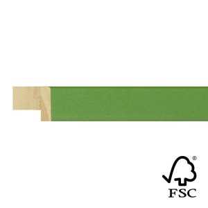 17x17mm Green Kaleidoscope Flat Moulding FSC