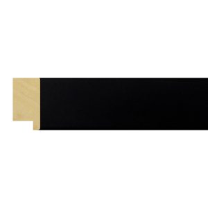 25x13mm Matt Closed Grain Black Create Flat Moulding